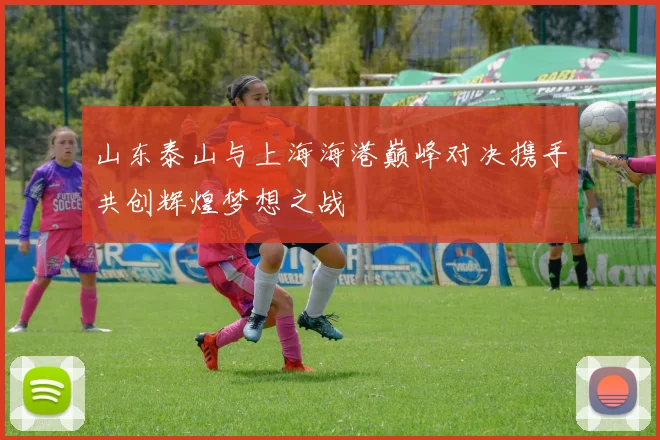 山东泰山与上海海港巅峰对决携手共创辉煌梦想之战