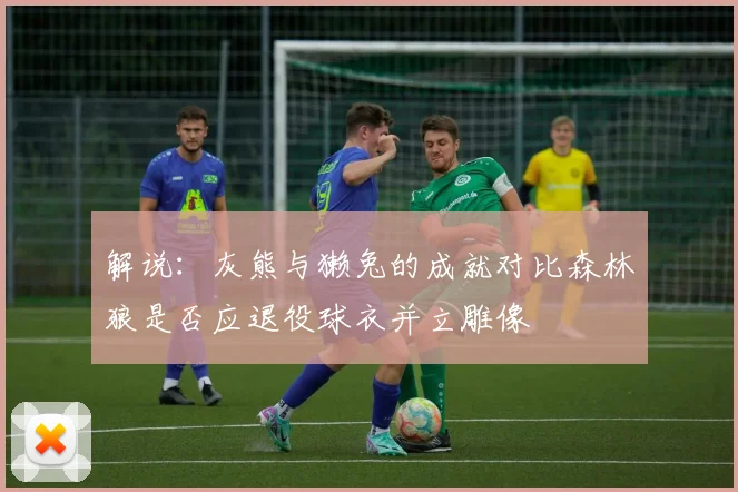 解说：灰熊与獭兔的成就对比森林狼是否应退役球衣并立雕像