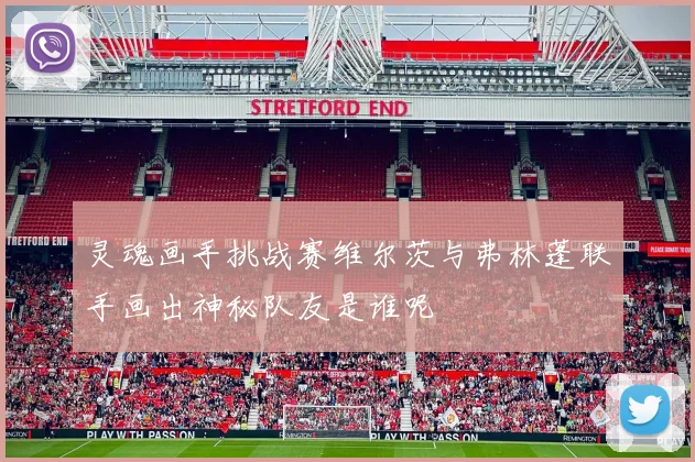灵魂画手挑战赛维尔茨与弗林蓬联手画出神秘队友是谁呢