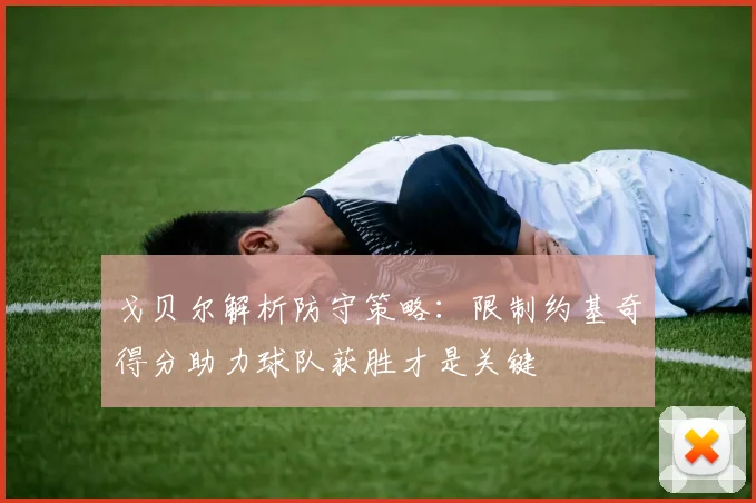 戈贝尔解析防守策略：限制约基奇得分助力球队获胜才是关键