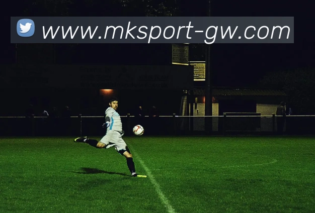 MK体育品牌故事